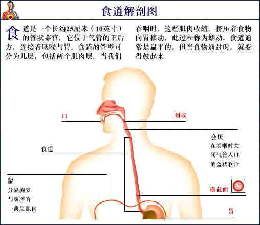 陕西 食道癌的中医治疗(肿瘤患者康复不是梦)