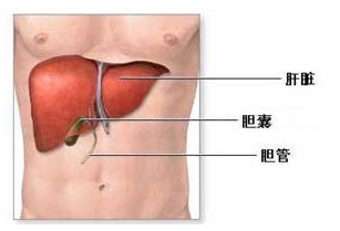 陕西 肝癌的中医治疗方法(西安古城肿瘤防治分院)
