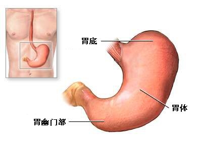陕西 贲门癌的中医治疗方法(西安古城肿瘤防治分院)