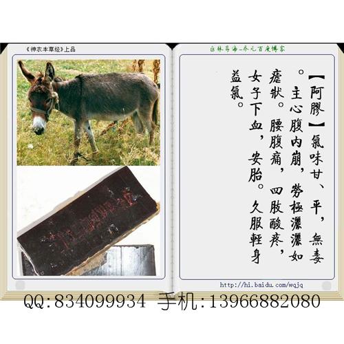 阿胶 中国药材供应商