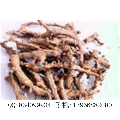 穿山龙 中国药材供应商