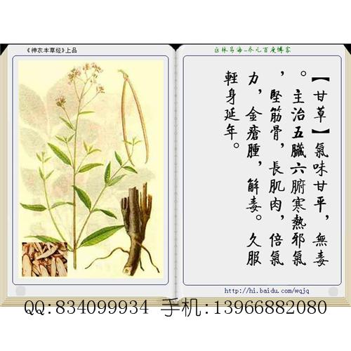 甘草 中国药材供应商