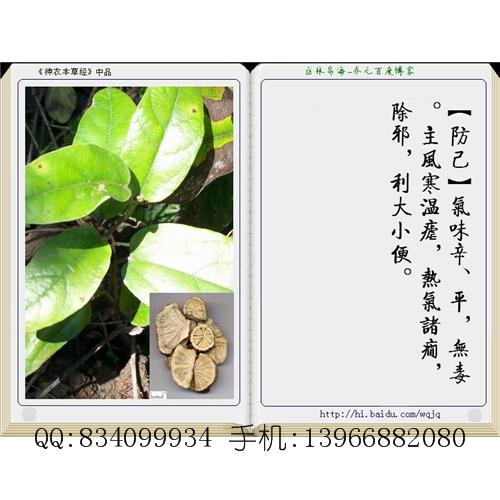 防己 中国药材供应商