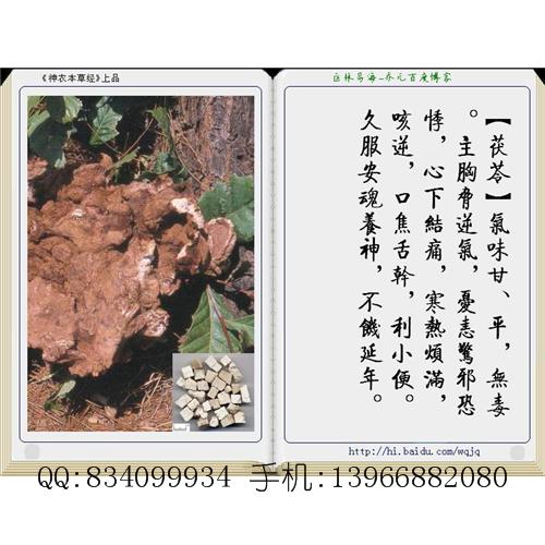 茯苓 中国药材供应商