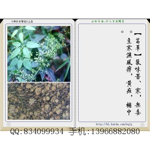 茜草 中国药材供应商