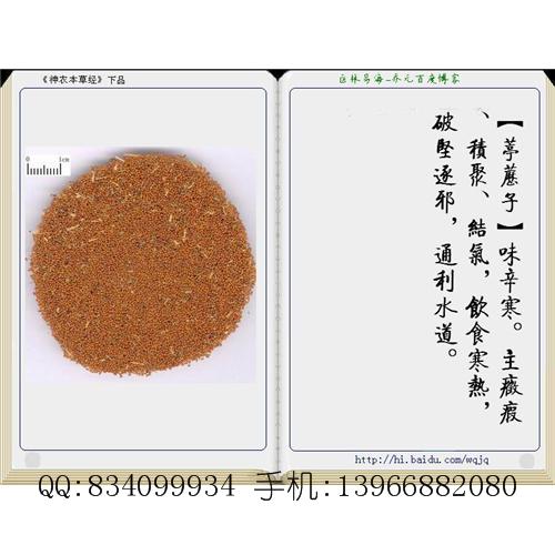 葶苈子 中国药材供应商