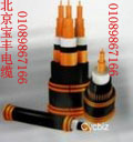 北京电线电缆厂，专业生产加工各种型号电线电缆