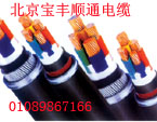 北京电线电缆厂，北京（宝丰顺通）电线电缆厂，技术力量雄厚