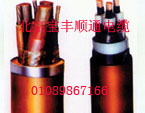北京防水电缆，北京防水耐油电缆，北京电线电缆