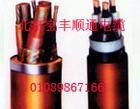 欢迎到我厂订做防水电缆，耐油电缆，北京防水电缆